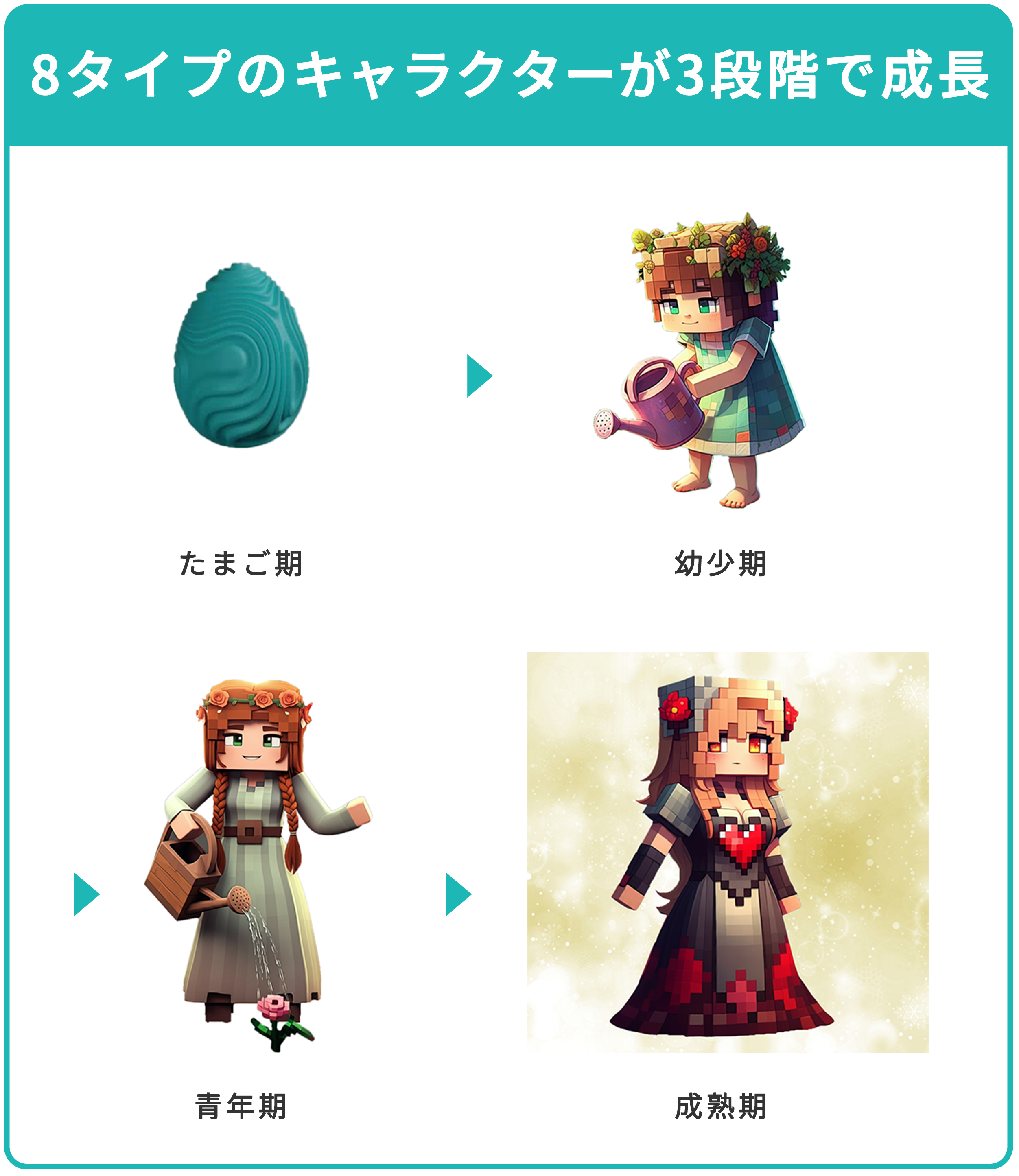 たまご期→幼少期→青年期→成熟期