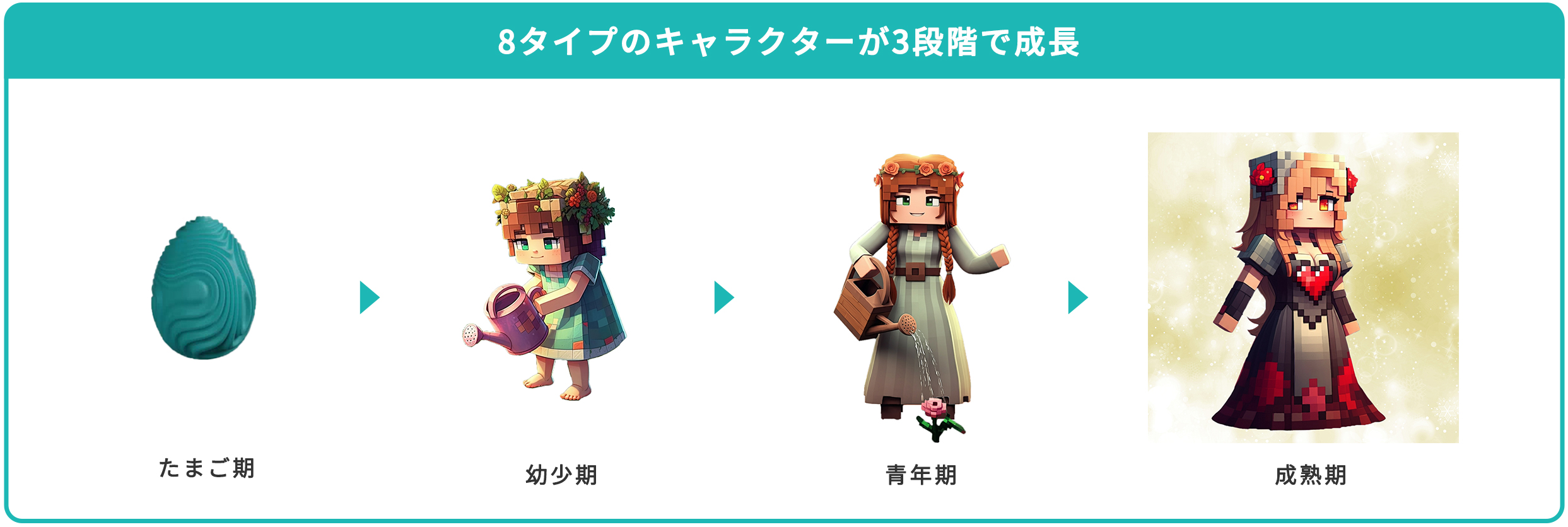 たまご期→幼少期→青年期→成熟期